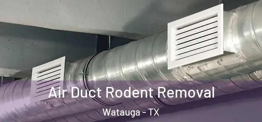  Air Duct Rodent Removal Watauga - TX