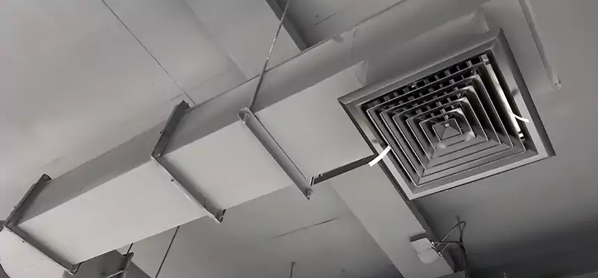 Our Pest Removal From Ducts Services in Watauga, TX