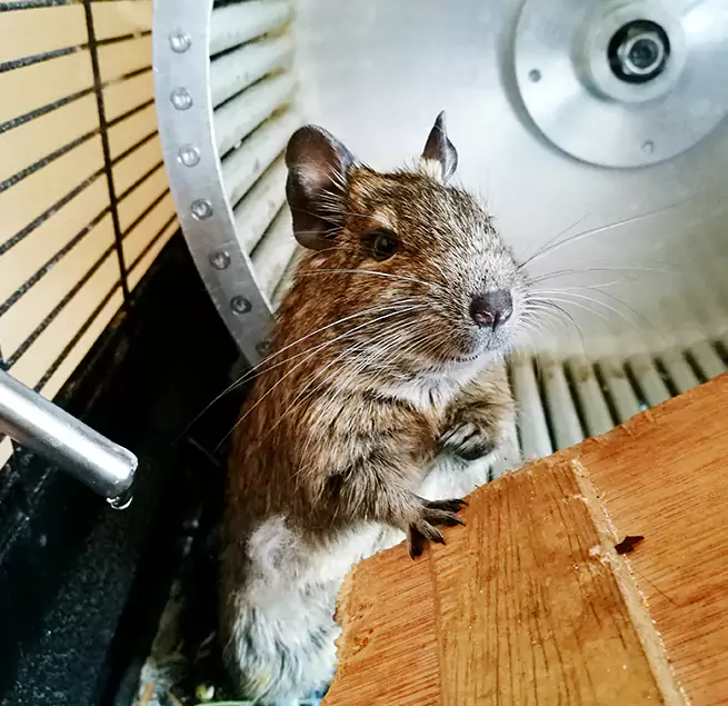 Why Homeowners & Businesses Trust Us Watauga, TX?