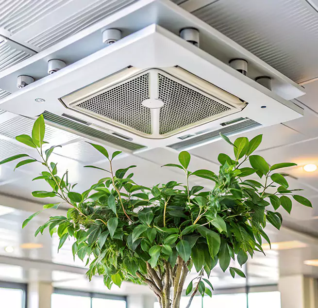 Why Homeowners & Businesses Trust Us in Watauga, TX?