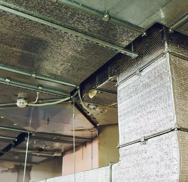 Why Homeowners & Businesses Trust Us in Watauga, TX?